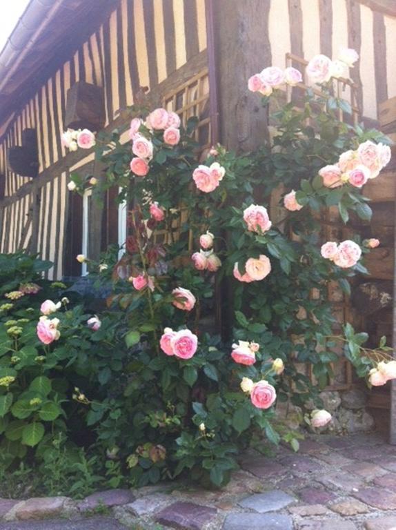 A La Bergerie Bed & Breakfast Honfleur Luaran gambar